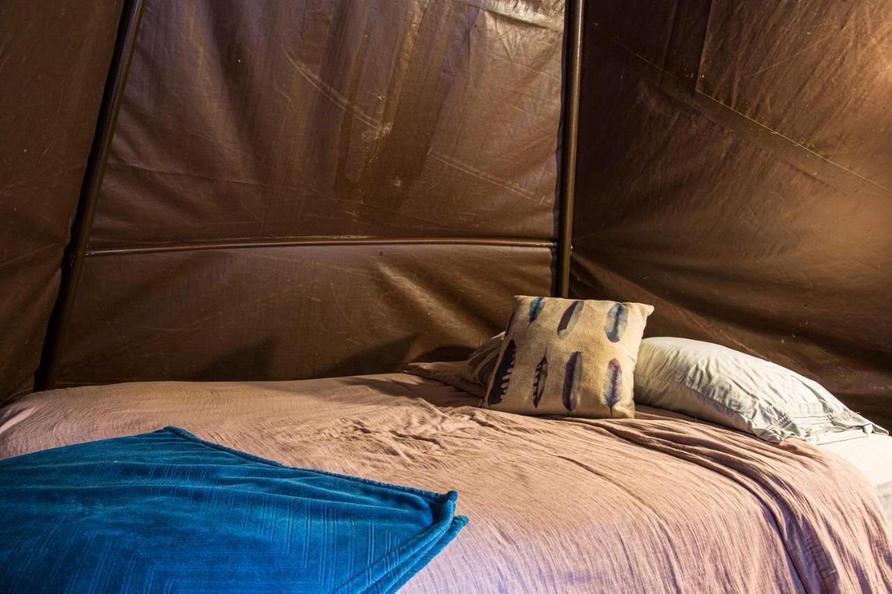 Cc Homestead Capsulehotel Atlanta